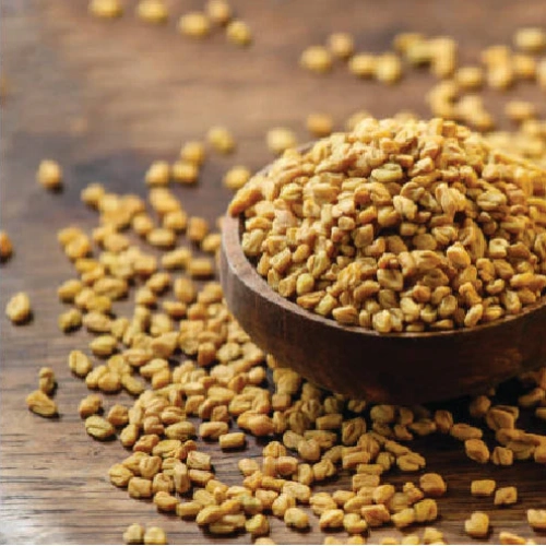 Fenugreek Seed